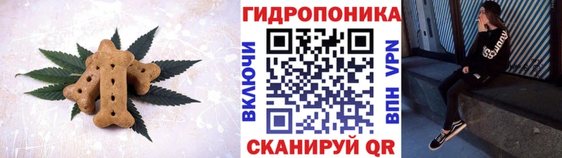 Cannafood марихуана  OMG как зайти  Сольвычегодск 