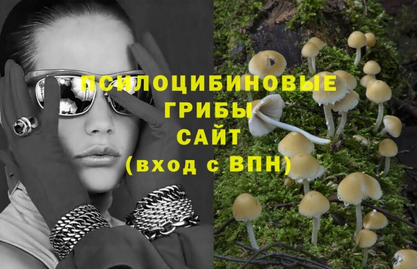 прущая мука Протвино