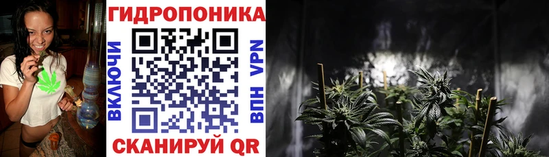 Марихуана Bruce Banner  Сольвычегодск 